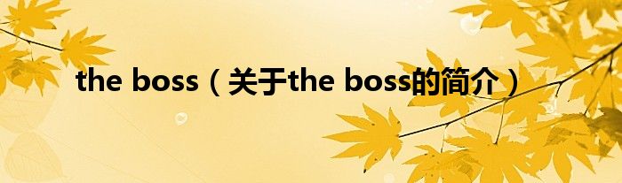 the boss（關(guān)于the boss的簡(jiǎn)介）