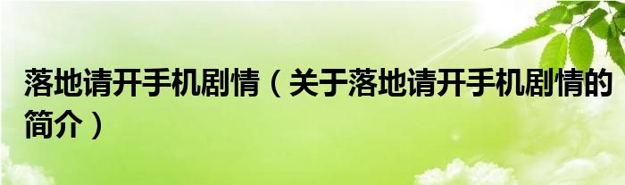 落地請(qǐng)開(kāi)手機(jī)劇情（關(guān)于落地請(qǐng)開(kāi)手機(jī)劇情的簡(jiǎn)介）