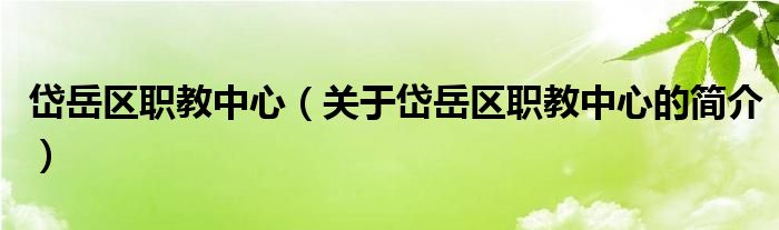 岱岳區(qū)職教中心（關(guān)于岱岳區(qū)職教中心的簡介）