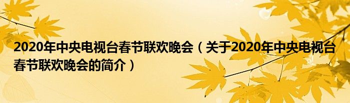 2020年中央電視臺(tái)春節(jié)聯(lián)歡晚會(huì)（關(guān)于2020年中央電視臺(tái)春節(jié)聯(lián)歡晚會(huì)的簡介）