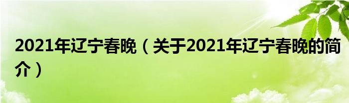 2021年遼寧春晚（關(guān)于2021年遼寧春晚的簡(jiǎn)介）