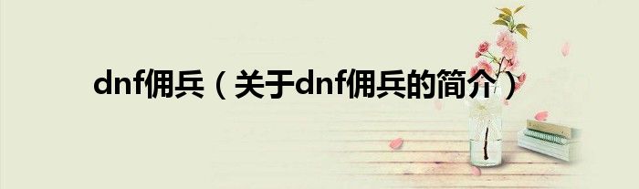 dnf傭兵（關(guān)于dnf傭兵的簡介）