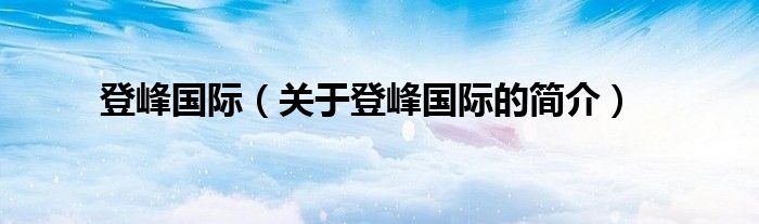 登峰國際（關(guān)于登峰國際的簡介）