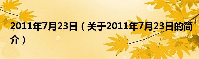 2011年7月23日（關于2011年7月23日的簡介）