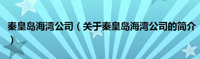 秦皇島海灣公司（關(guān)于秦皇島海灣公司的簡介）