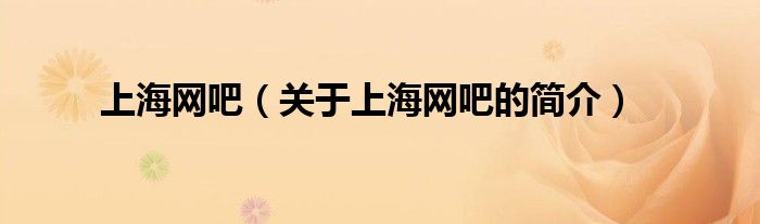 上海網(wǎng)吧（關(guān)于上海網(wǎng)吧的簡(jiǎn)介）