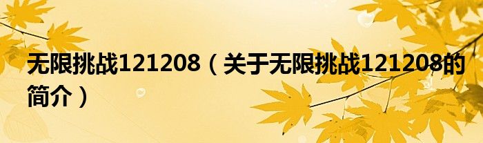 無限挑戰(zhàn)121208（關(guān)于無限挑戰(zhàn)121208的簡介）