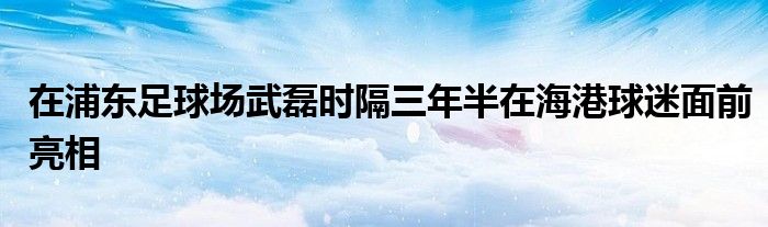 在浦東足球場武磊時(shí)隔三年半在海港球迷面前亮相