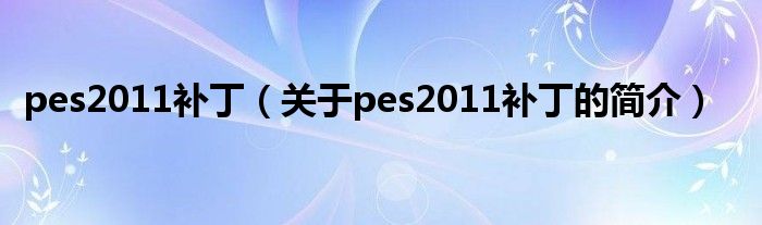 pes2011補?。P于pes2011補丁的簡介）