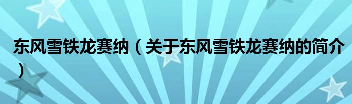 東風(fēng)雪鐵龍賽納（關(guān)于東風(fēng)雪鐵龍賽納的簡(jiǎn)介）