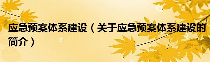 應急預案體系建設（關于應急預案體系建設的簡介）