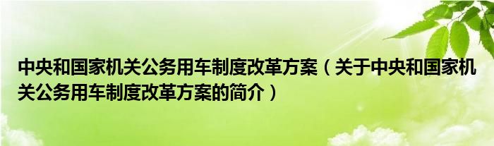 中央和國(guó)家機(jī)關(guān)公務(wù)用車制度改革方案（關(guān)于中央和國(guó)家機(jī)關(guān)公務(wù)用車制度改革方案的簡(jiǎn)介）