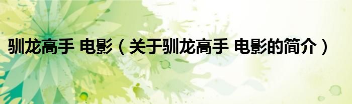 馴龍高手 電影（關(guān)于馴龍高手 電影的簡(jiǎn)介）