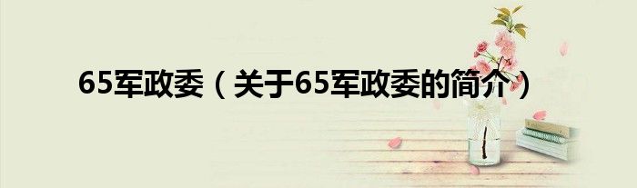 65軍政委（關(guān)于65軍政委的簡(jiǎn)介）