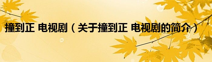 撞到正 電視?。P于撞到正 電視劇的簡介）