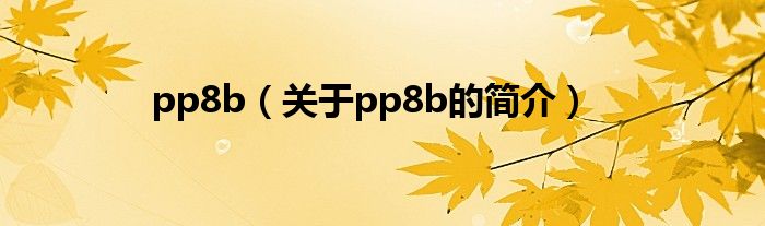 pp8b（關(guān)于pp8b的簡(jiǎn)介）