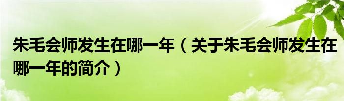 朱毛會(huì)師發(fā)生在哪一年（關(guān)于朱毛會(huì)師發(fā)生在哪一年的簡介）