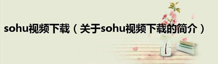 sohu視頻下載（關(guān)于sohu視頻下載的簡介）