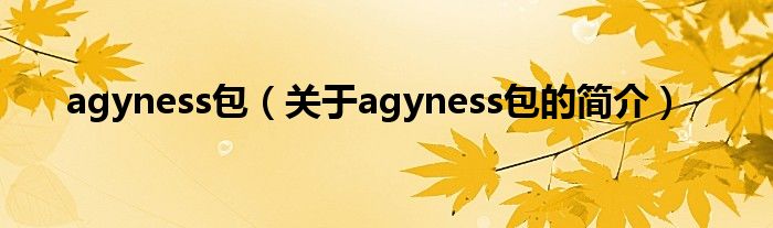 agyness包（關(guān)于agyness包的簡(jiǎn)介）