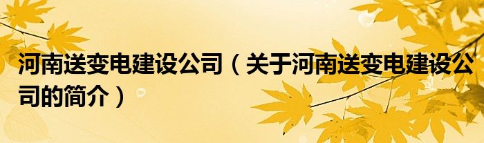 河南送變電建設(shè)公司（關(guān)于河南送變電建設(shè)公司的簡(jiǎn)介）