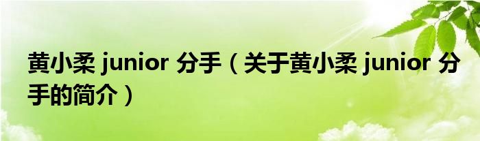 黃小柔 junior 分手（關(guān)于黃小柔 junior 分手的簡介）