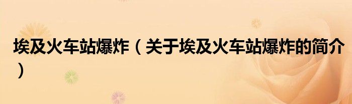 埃及火車站爆炸（關(guān)于埃及火車站爆炸的簡介）