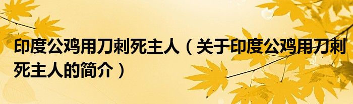 印度公雞用刀刺死主人（關(guān)于印度公雞用刀刺死主人的簡介）