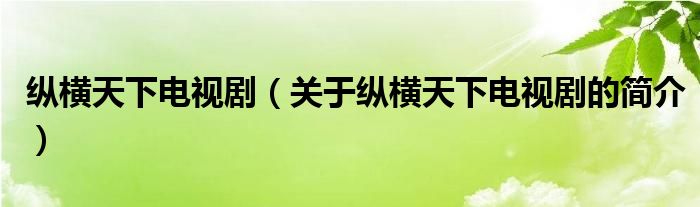 縱橫天下電視?。P(guān)于縱橫天下電視劇的簡介）