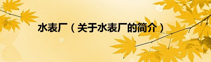 水表廠（關(guān)于水表廠的簡(jiǎn)介）