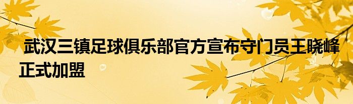  武漢三鎮(zhèn)足球俱樂(lè)部官方宣布守門(mén)員王曉峰正式加盟