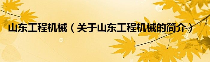 山東工程機(jī)械（關(guān)于山東工程機(jī)械的簡(jiǎn)介）