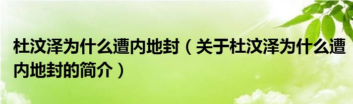 杜汶澤為什么遭內(nèi)地封（關(guān)于杜汶澤為什么遭內(nèi)地封的簡(jiǎn)介）