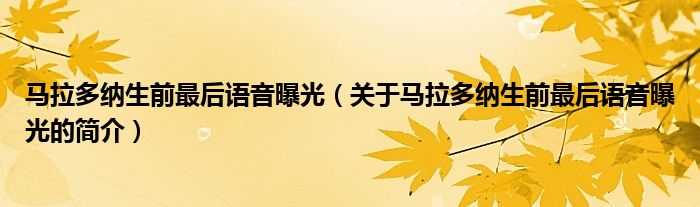 馬拉多納生前最后語音曝光（關(guān)于馬拉多納生前最后語音曝光的簡(jiǎn)介）