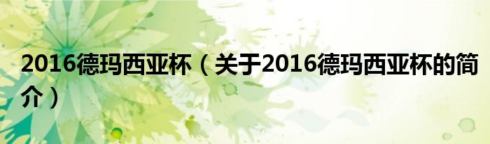 2016德瑪西亞杯（關(guān)于2016德瑪西亞杯的簡(jiǎn)介）