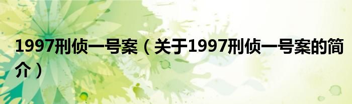 1997刑偵一號案（關(guān)于1997刑偵一號案的簡介）