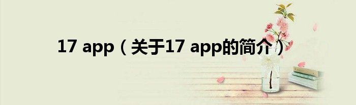 17 app（關于17 app的簡介）