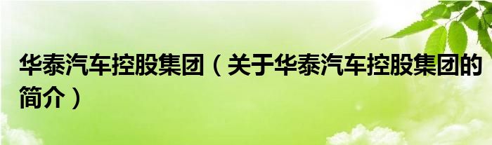 華泰汽車控股集團(tuán)（關(guān)于華泰汽車控股集團(tuán)的簡(jiǎn)介）