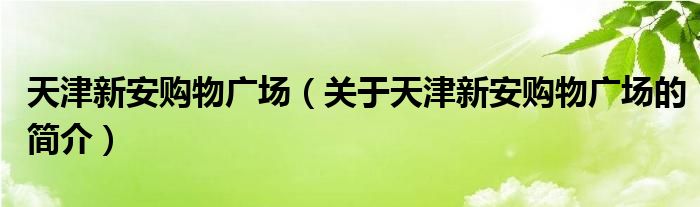 天津新安購物廣場(chǎng)（關(guān)于天津新安購物廣場(chǎng)的簡介）