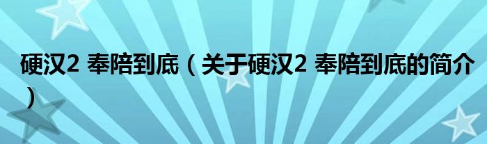 硬漢2 奉陪到底（關(guān)于硬漢2 奉陪到底的簡(jiǎn)介）