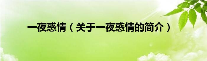 一夜惑情（關(guān)于一夜惑情的簡(jiǎn)介）