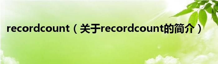 recordcount（關于recordcount的簡介）