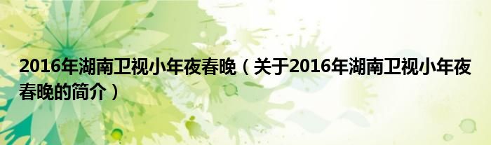 2016年湖南衛(wèi)視小年夜春晚（關(guān)于2016年湖南衛(wèi)視小年夜春晚的簡(jiǎn)介）