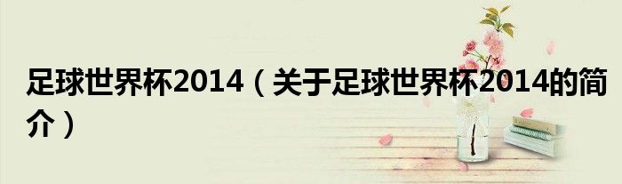 足球世界杯2014（關(guān)于足球世界杯2014的簡介）