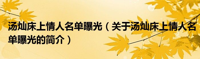 湯燦床上情人名單曝光（關(guān)于湯燦床上情人名單曝光的簡(jiǎn)介）