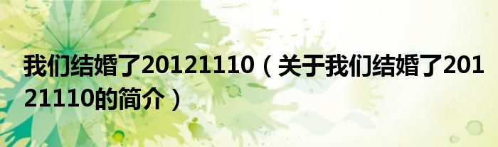 我們結(jié)婚了20121110（關(guān)于我們結(jié)婚了20121110的簡介）