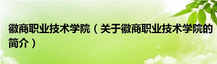 徽商職業(yè)技術(shù)學(xué)院（關(guān)于徽商職業(yè)技術(shù)學(xué)院的簡(jiǎn)介）