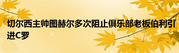 切爾西主帥圖赫爾多次阻止俱樂部老板伯利引進(jìn)C羅