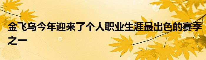 金飛烏今年迎來了個人職業(yè)生涯最出色的賽季之一