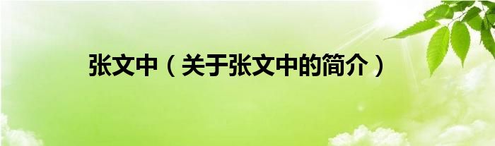 張文中（關(guān)于張文中的簡介）