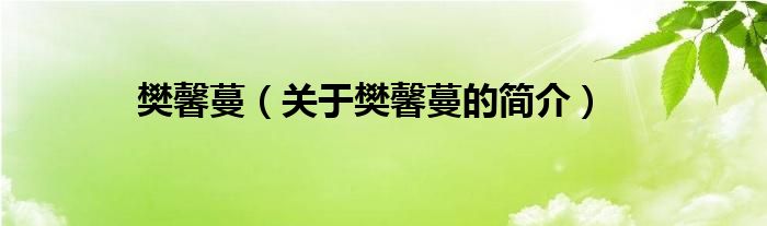 樊馨蔓（關(guān)于樊馨蔓的簡(jiǎn)介）